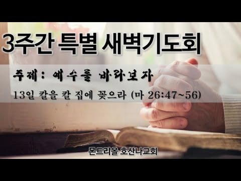 [특별새벽기도회]칼을 칼집에 꽃으라_13일차