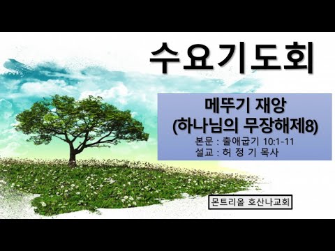 [수요기도회]메뚜기 재앙(하나님의 무장해제 8)