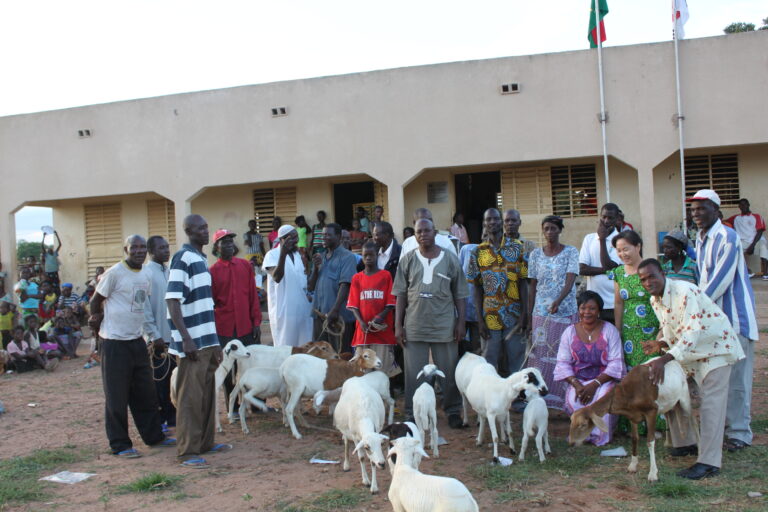 2013년 아프리카 단기선교_08